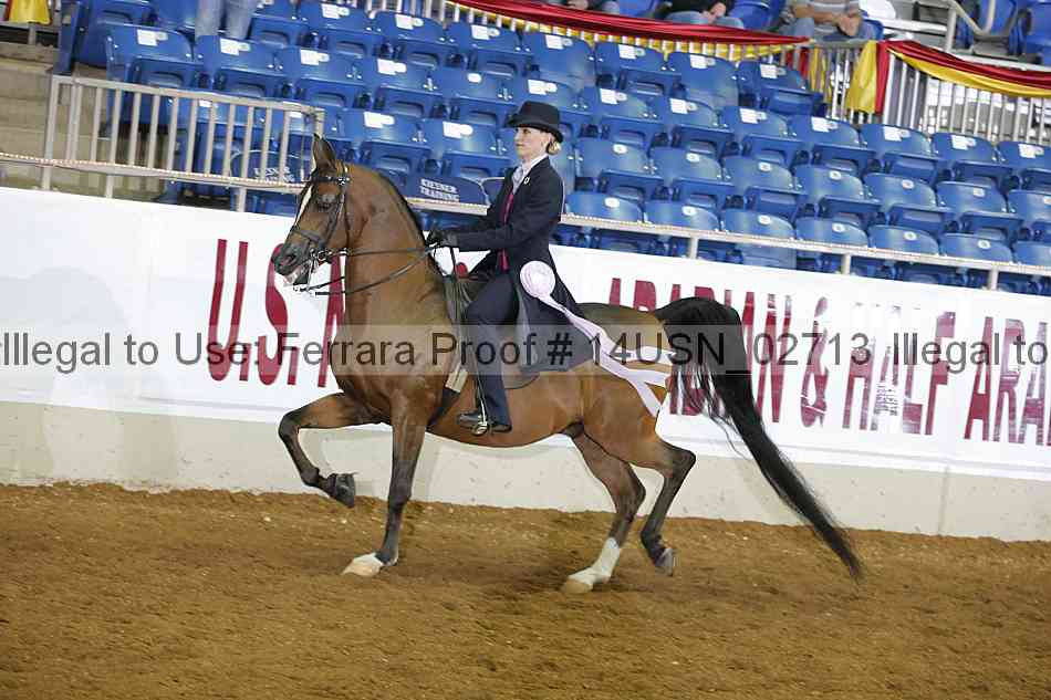 Proof 14usn_02713