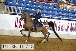 14usn_02713 proof