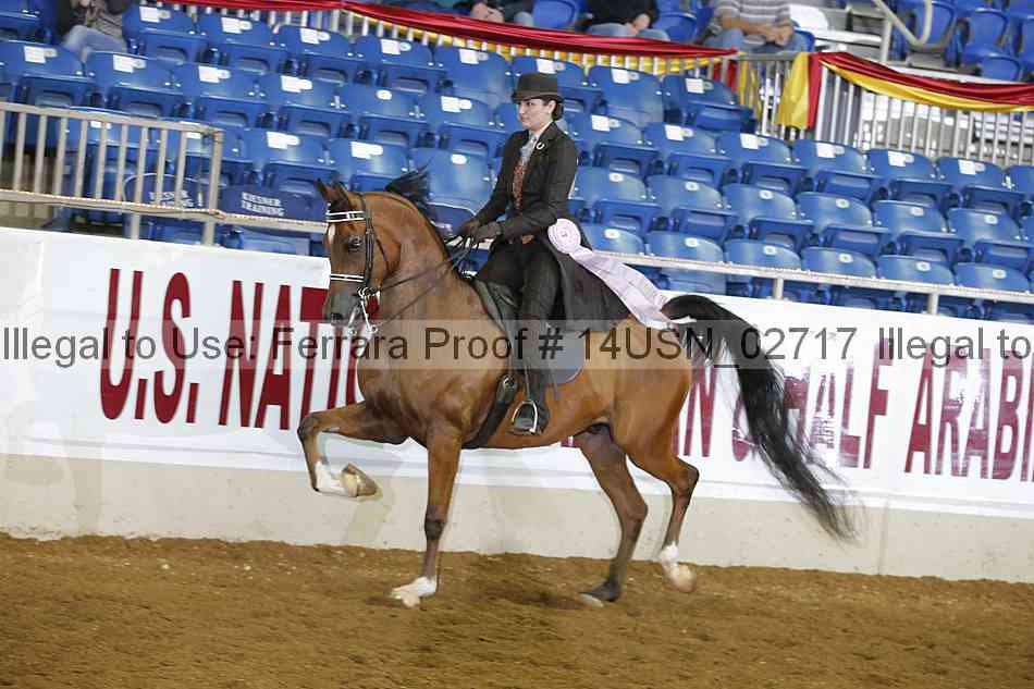 Proof 14usn_02717
