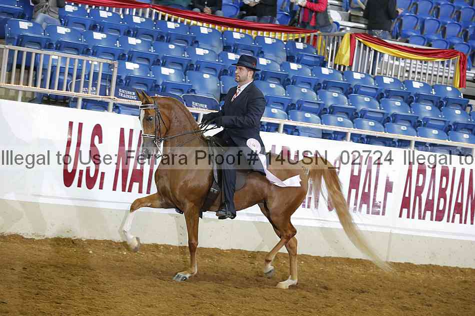 Proof 14usn_02724