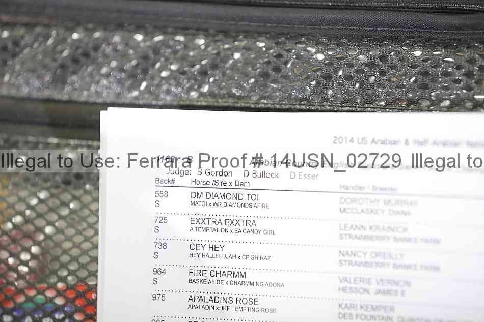 Proof 14usn_02729