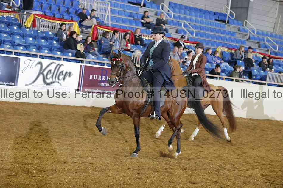 Proof 14usn_02731