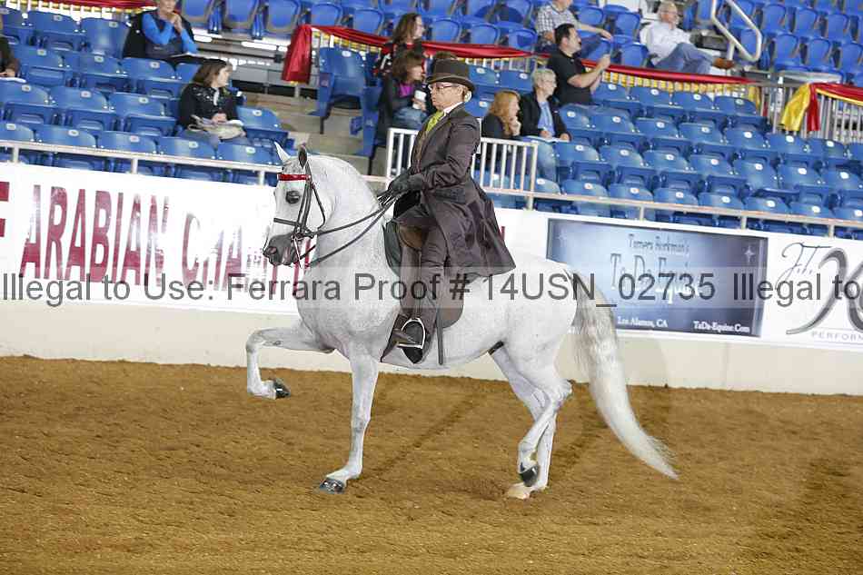 Proof 14usn_02735