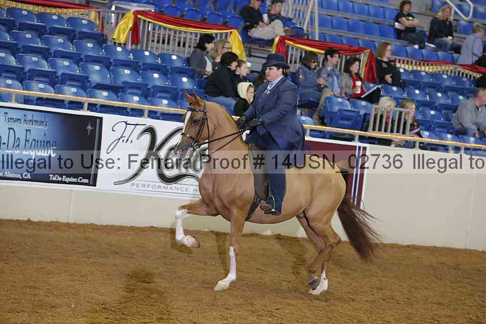 Proof 14usn_02736