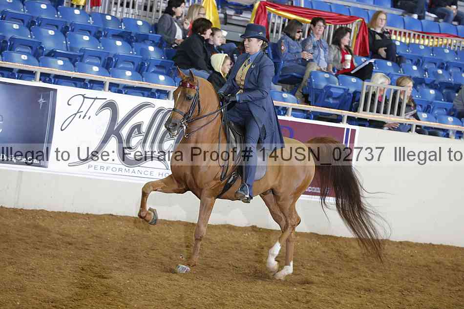 Proof 14usn_02737