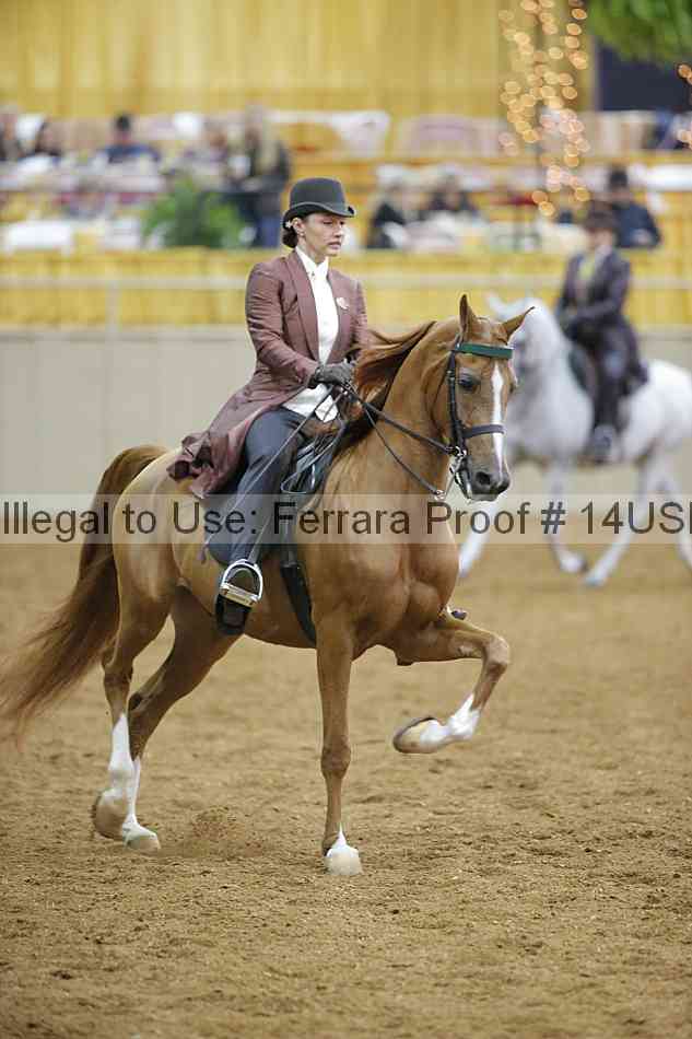 Proof 14usn_02739