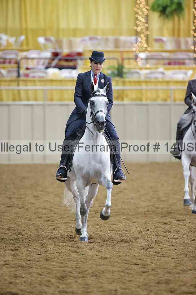 Proof 14usn_02740
