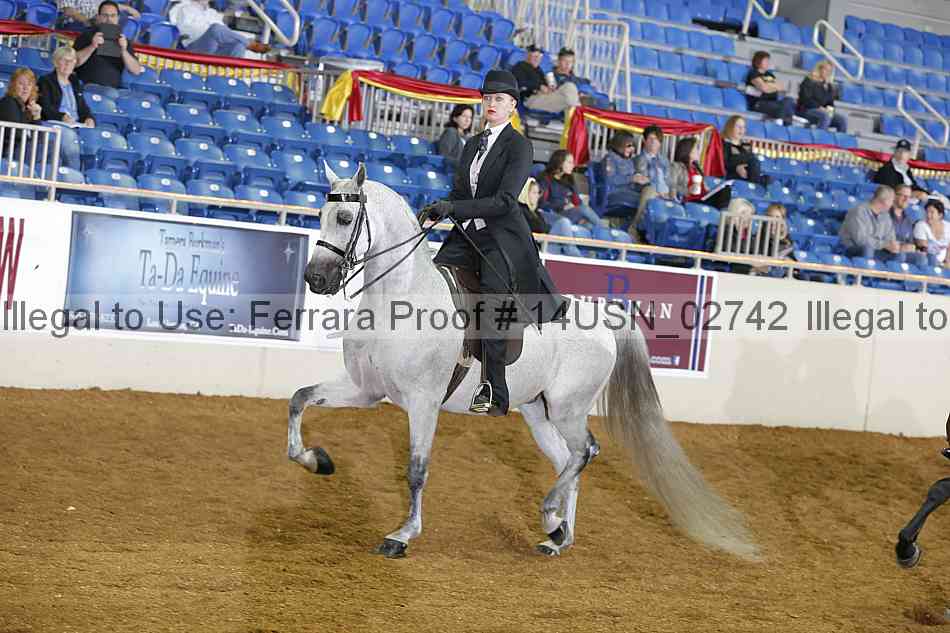 Proof 14usn_02742
