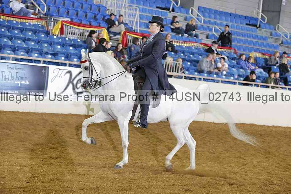 Proof 14usn_02743
