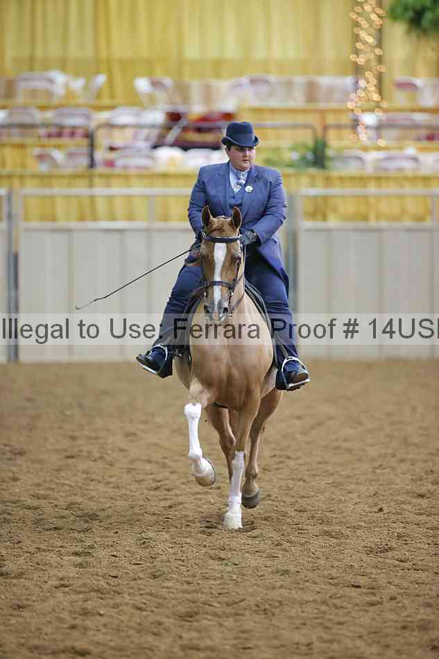 Proof 14usn_02744