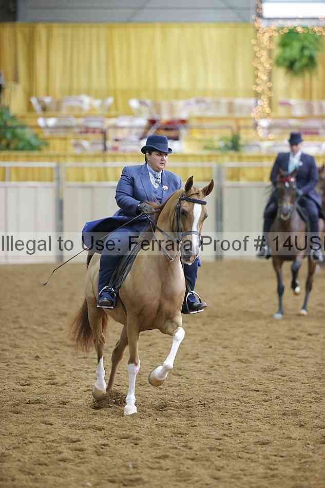 Proof 14usn_02746