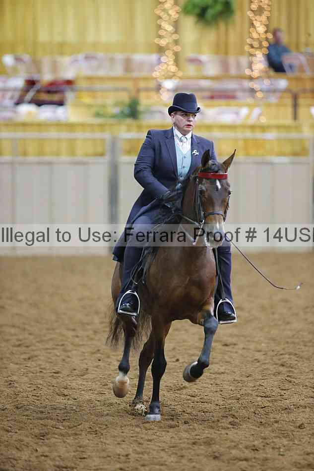 Proof 14usn_02747