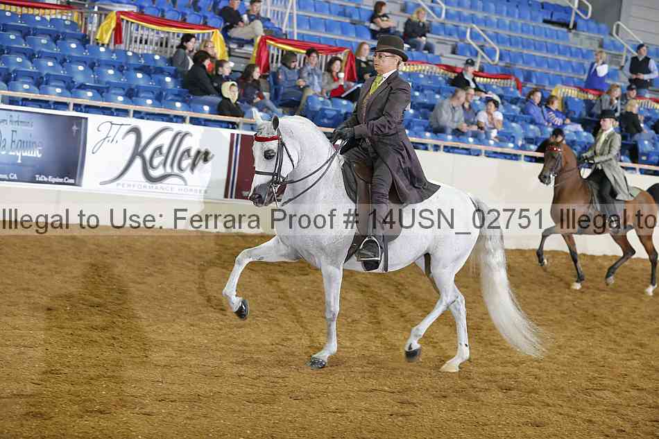 Proof 14usn_02751