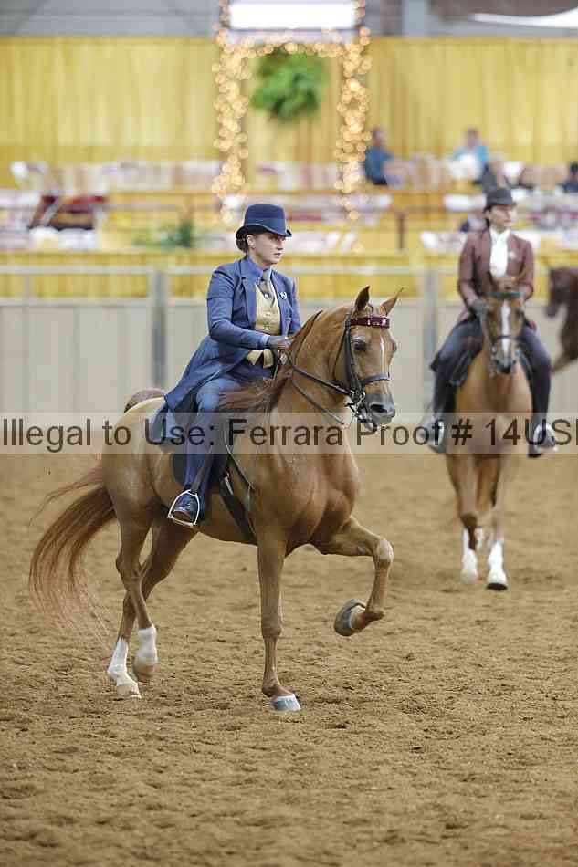Proof 14usn_02752