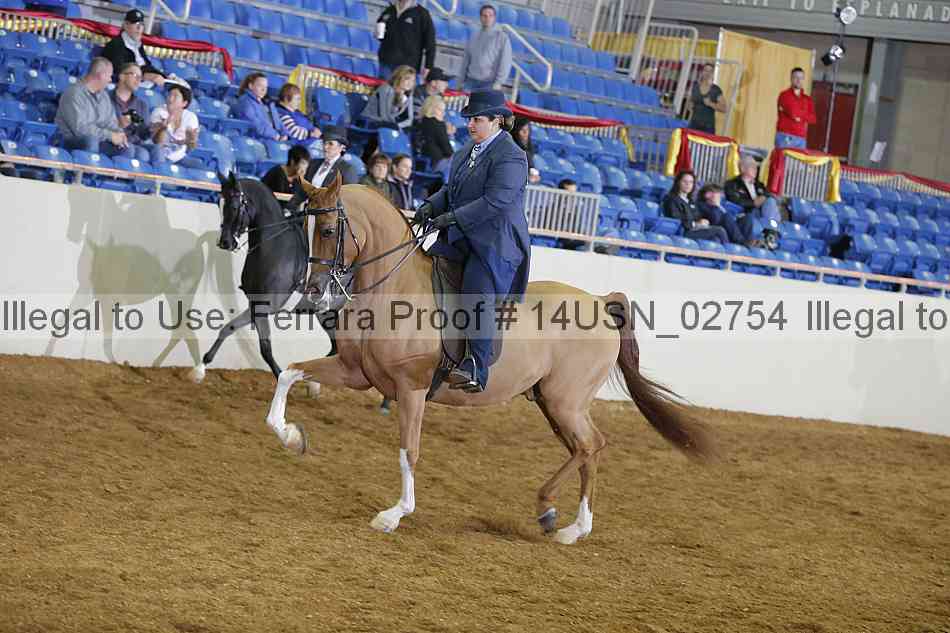Proof 14usn_02754