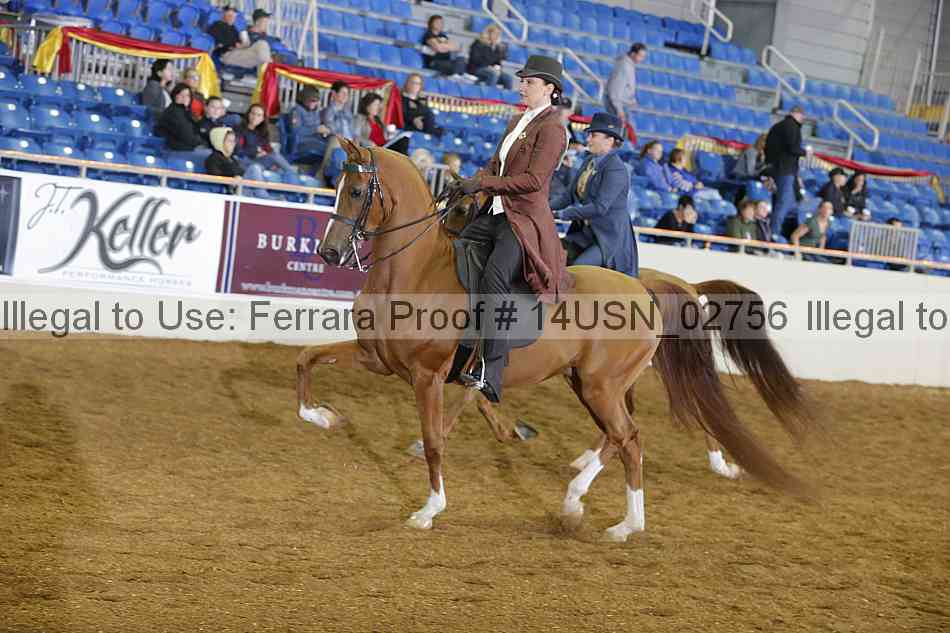 Proof 14usn_02756