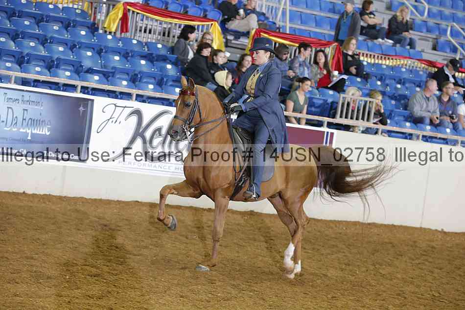 Proof 14usn_02758