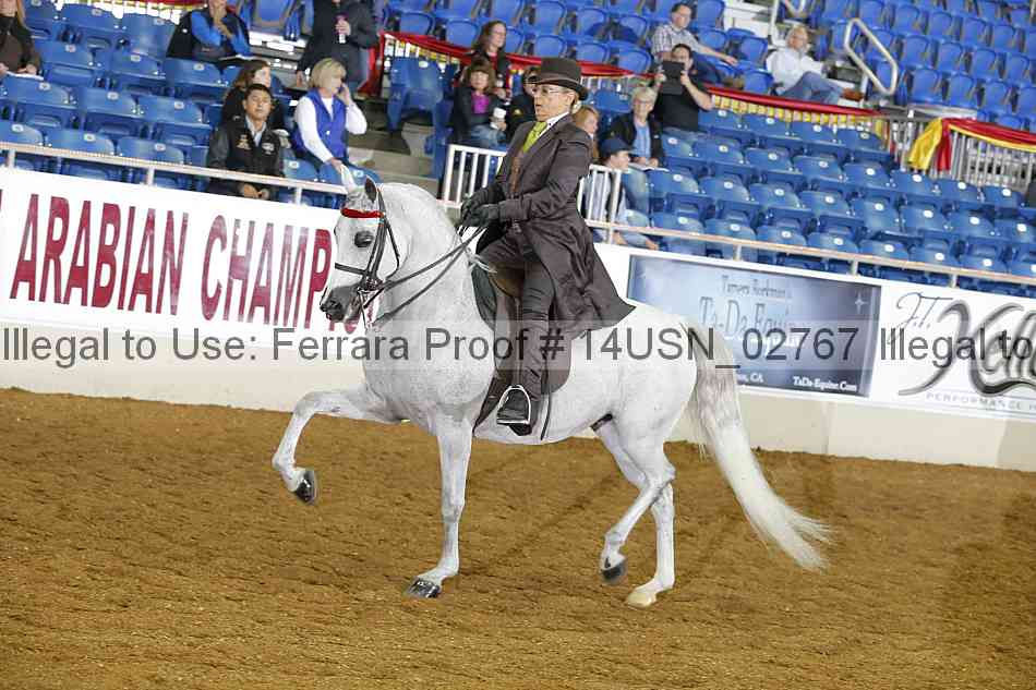Proof 14usn_02767