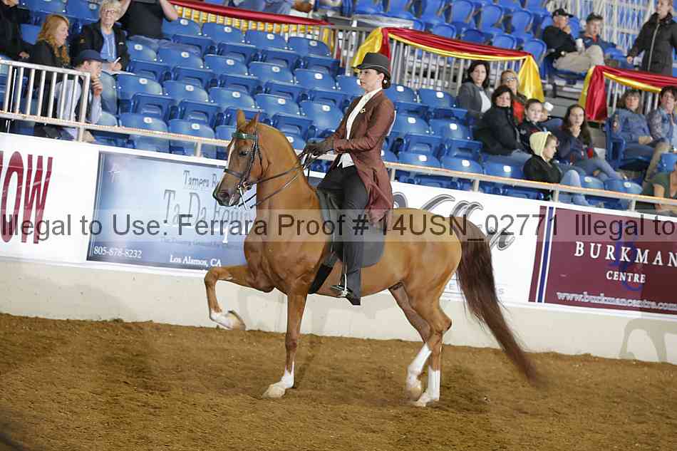 Proof 14usn_02771