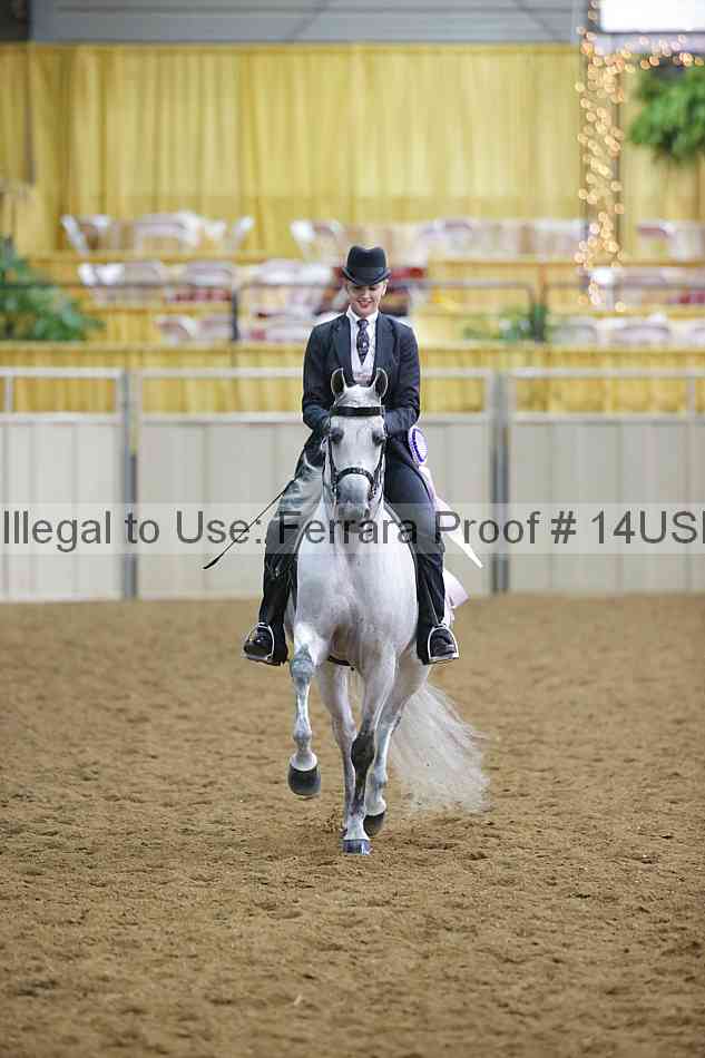 Proof 14usn_02774