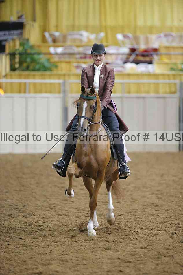 Proof 14usn_02779