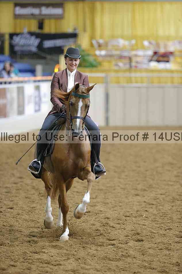 Proof 14usn_02781