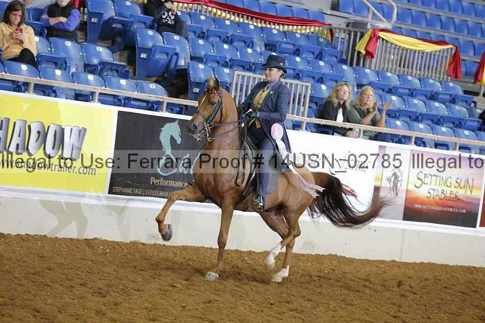Proof 14usn_02785