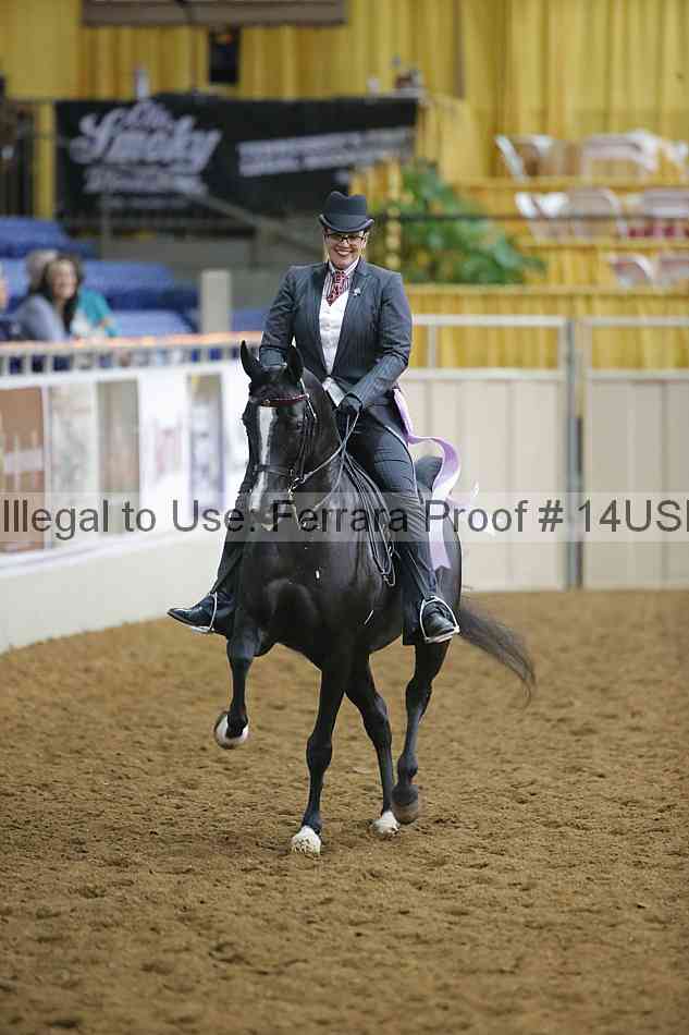 Proof 14usn_02786