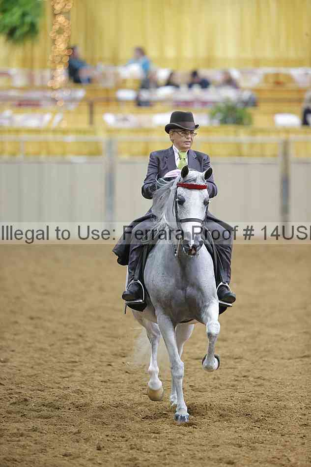 Proof 14usn_02790