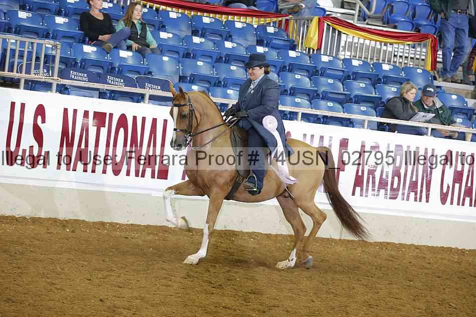 Proof 14usn_02795