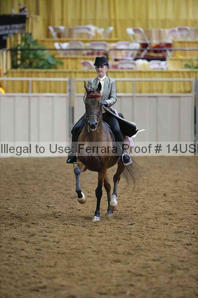 Proof 14usn_02800