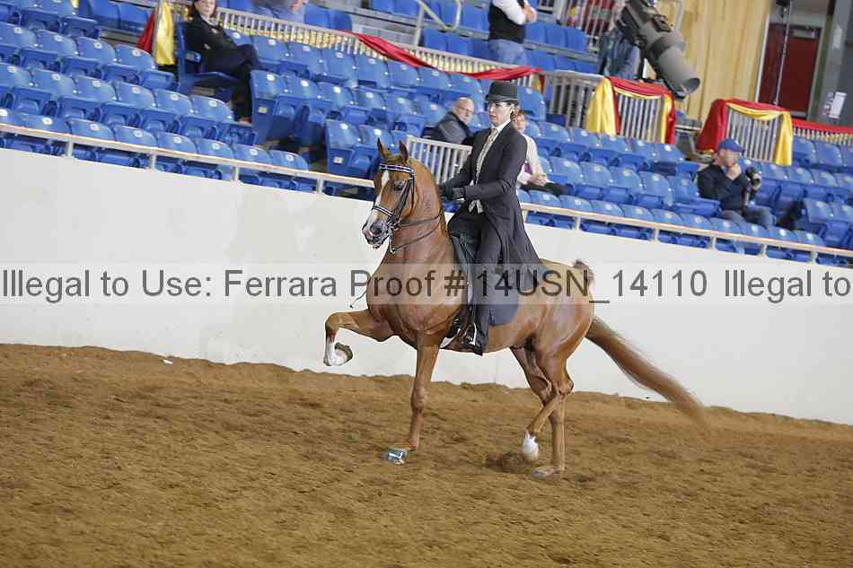 Proof 14usn_14110