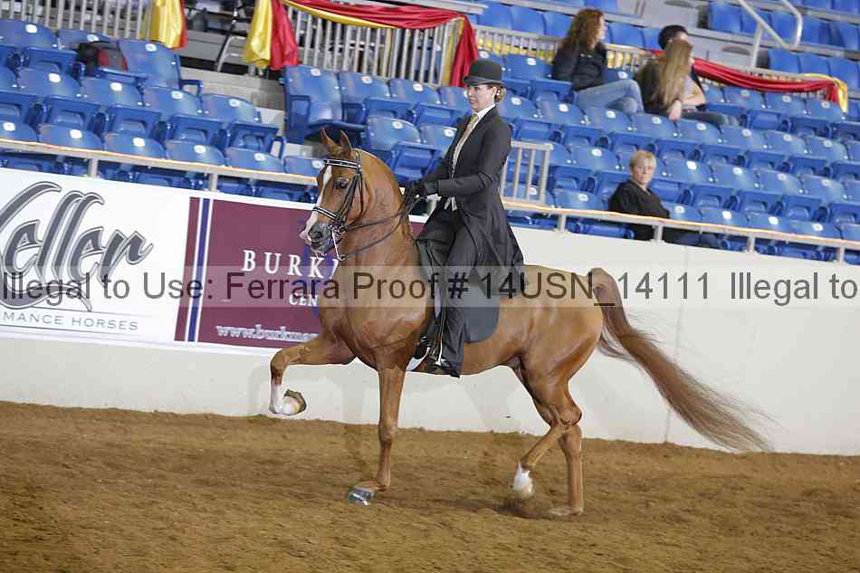 Proof 14usn_14111