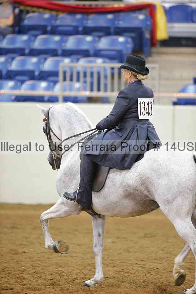 Proof 14usn_14114