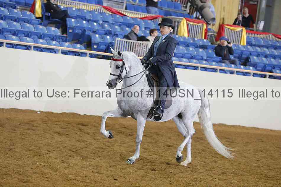 Proof 14usn_14115