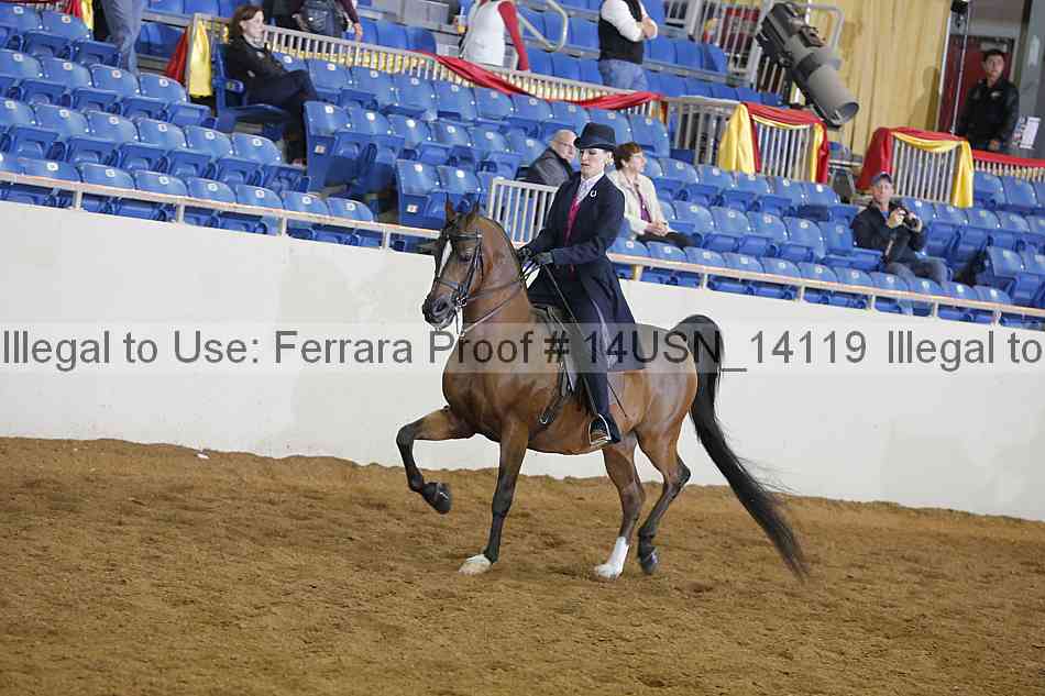 Proof 14usn_14119