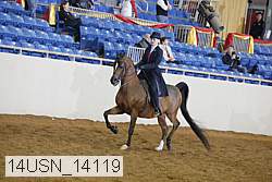 14usn_14119 proof