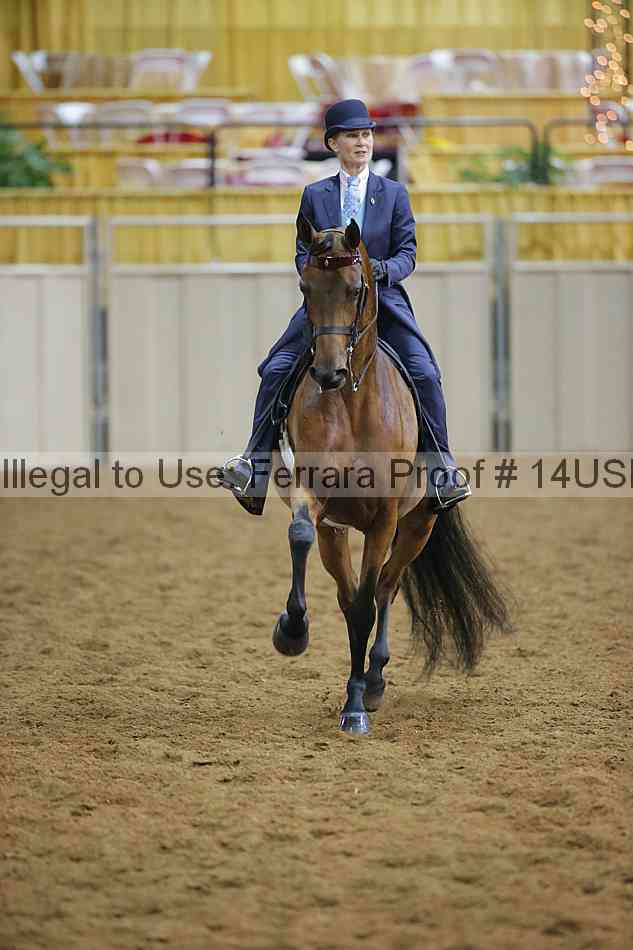 Proof 14usn_14123