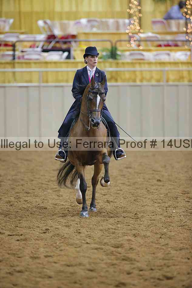Proof 14usn_14128