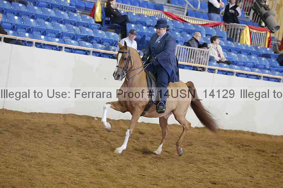 Proof 14usn_14129