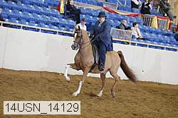 14usn_14129 proof