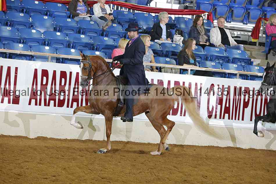 Proof 14usn_14135