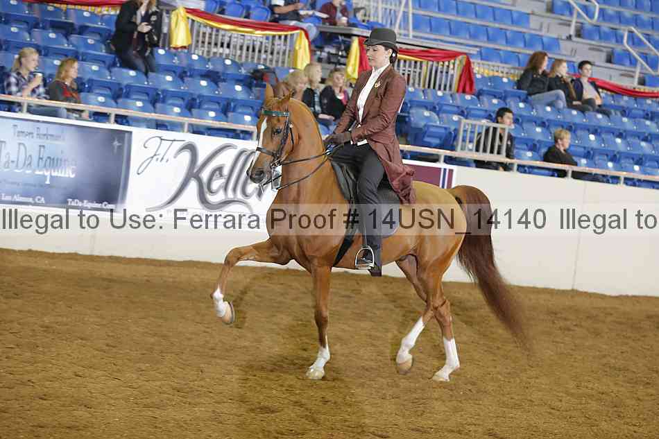 Proof 14usn_14140
