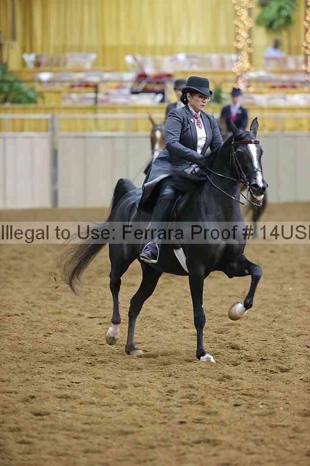 Proof 14usn_14141
