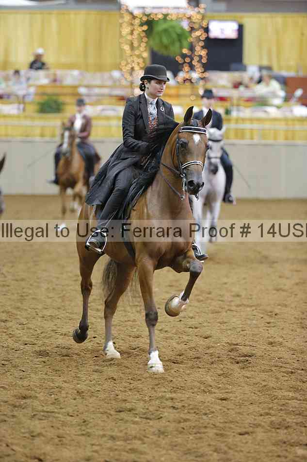 Proof 14usn_14145