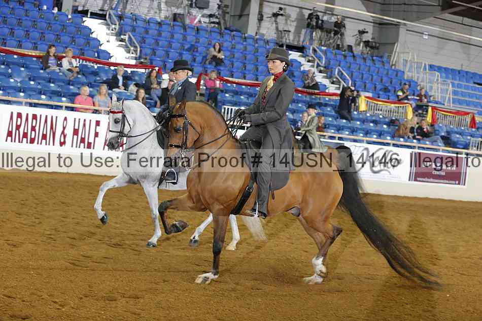 Proof 14usn_14146