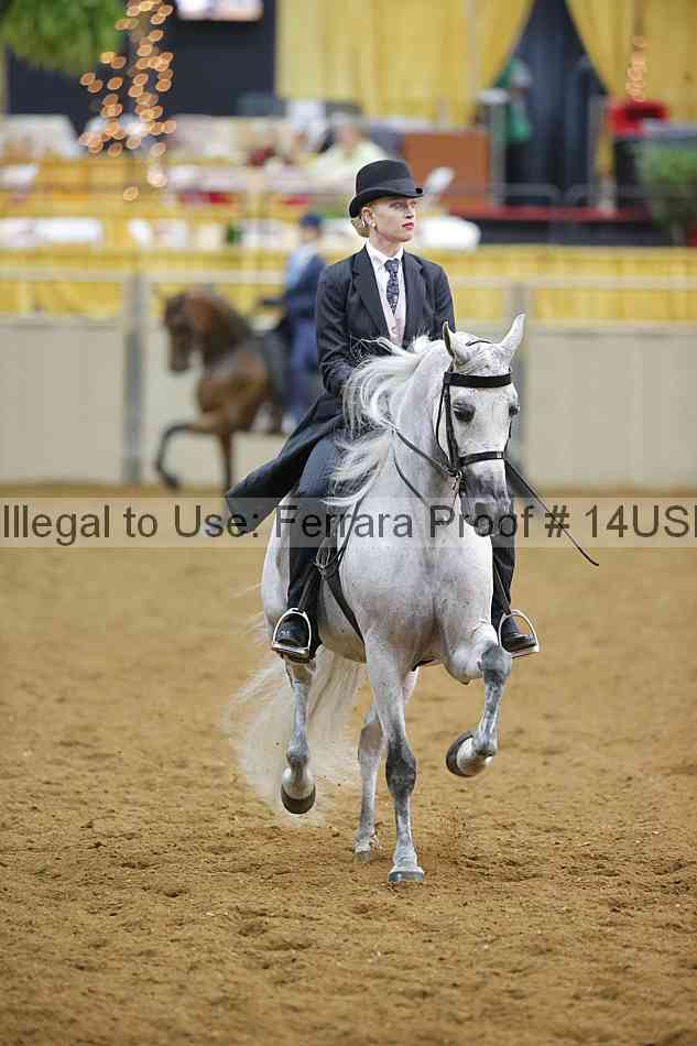 Proof 14usn_14147