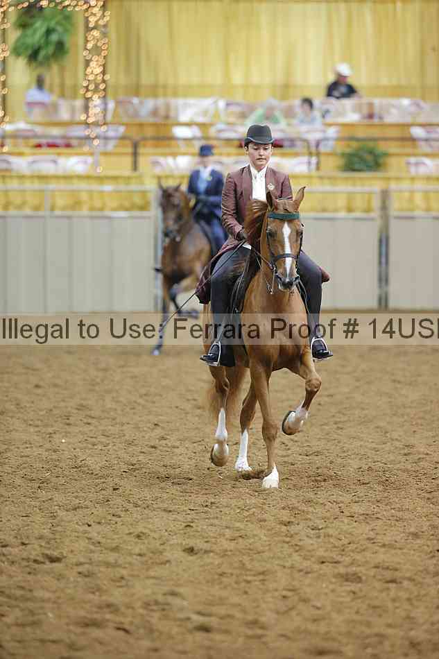 Proof 14usn_14148