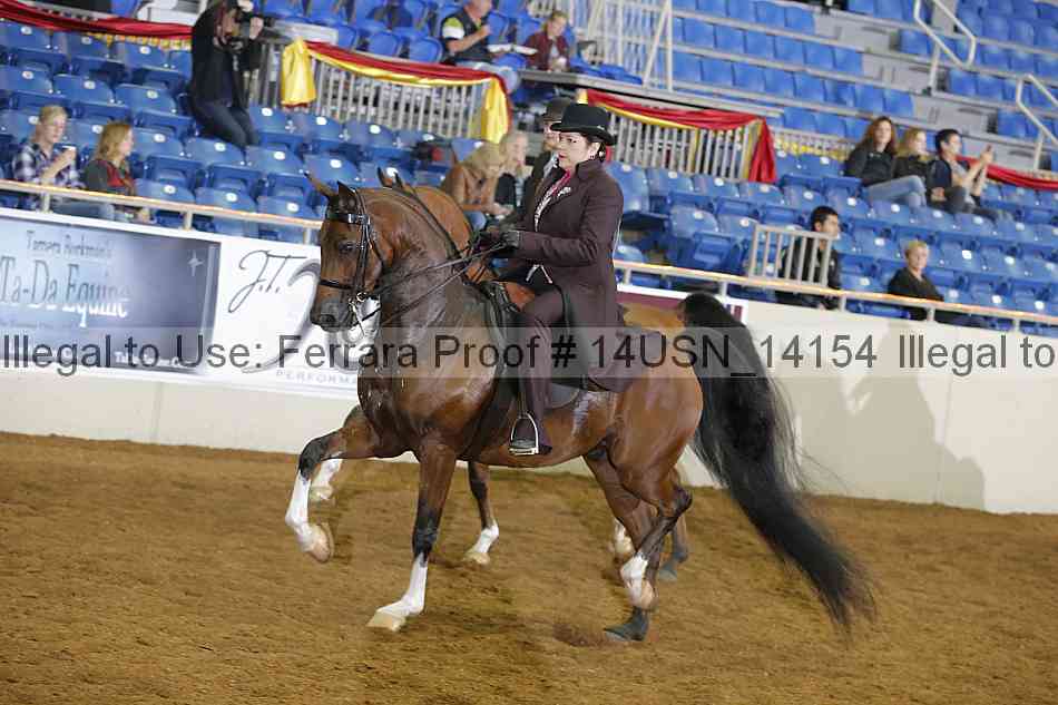 Proof 14usn_14154