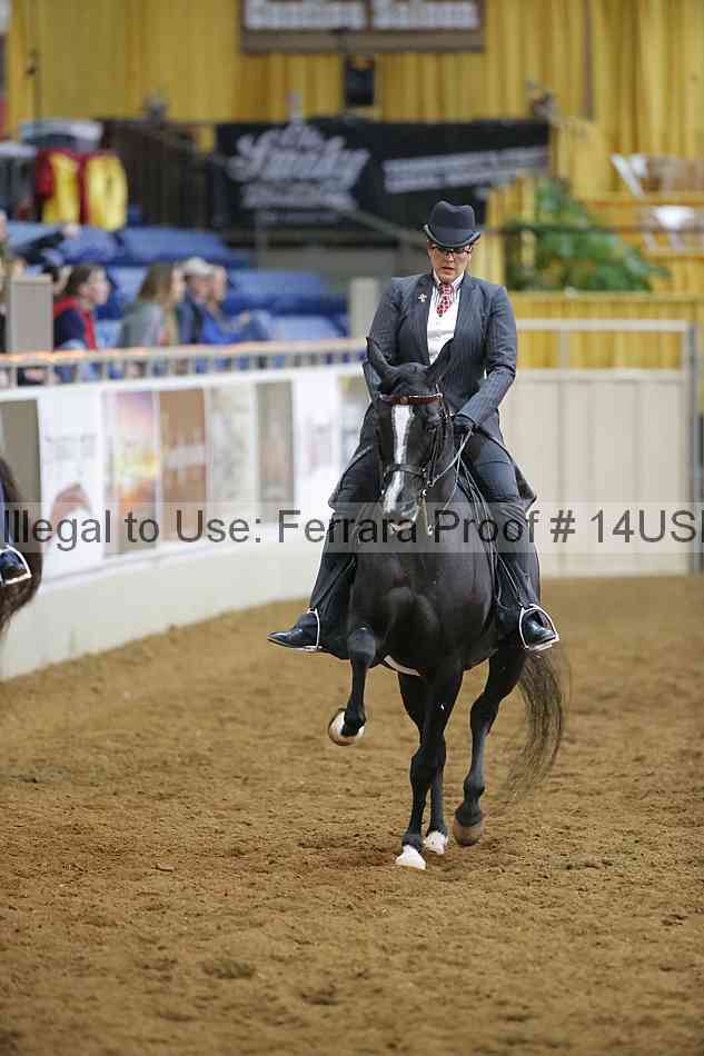 Proof 14usn_14155